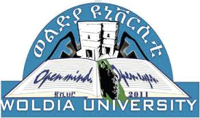 Woldia University
